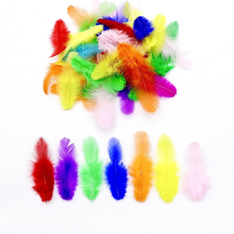 Rasoisof 800Pcs Colorful Craft Rooster Feathers 3-5-inch Bulk Feathers for Crafting Kindergarten DIY Crafts, Wedding, Family Party Decorations, Dream Catcher Supplies, Natural Feathers - Image 5