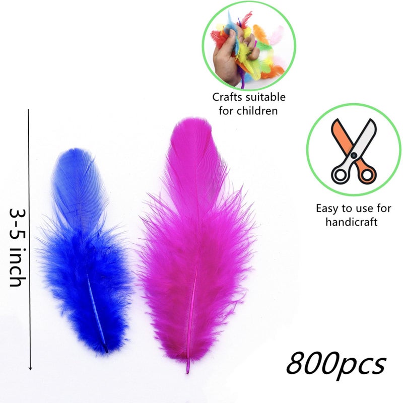 Rasoisof 800Pcs Colorful Craft Rooster Feathers 3-5-inch Bulk Feathers for Crafting Kindergarten DIY Crafts, Wedding, Family Party Decorations, Dream Catcher Supplies, Natural Feathers - Image 3