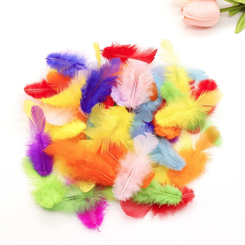 Rasoisof 800Pcs Colorful Craft Rooster Feathers 3-5-inch Bulk Feathers for Crafting Kindergarten DIY Crafts, Wedding, Family Party Decorations, Dream Catcher Supplies, Natural Feathers - Image 2