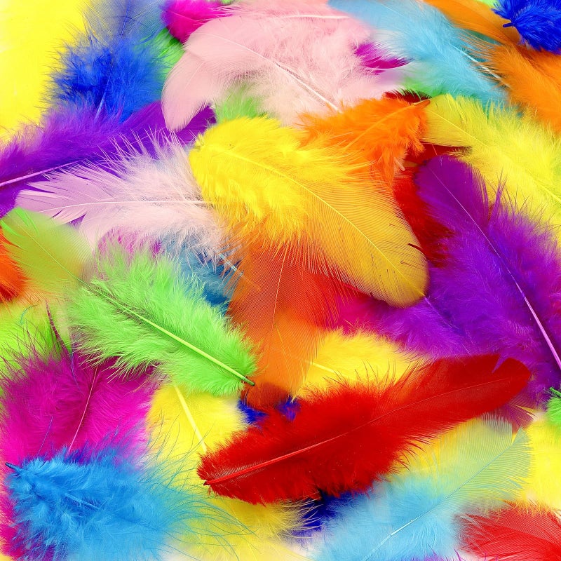 Rasoisof 800Pcs Colorful Craft Rooster Feathers 3-5-inch Bulk Feathers for Crafting Kindergarten DIY Crafts, Wedding, Family Party Decorations, Dream Catcher Supplies, Natural Feathers - Image 1