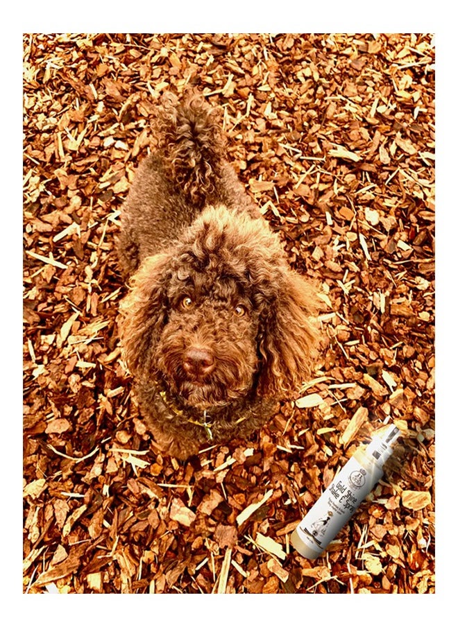 Aromiere Dog Gold Shine vegetable water with glitter Spray  - Image 3