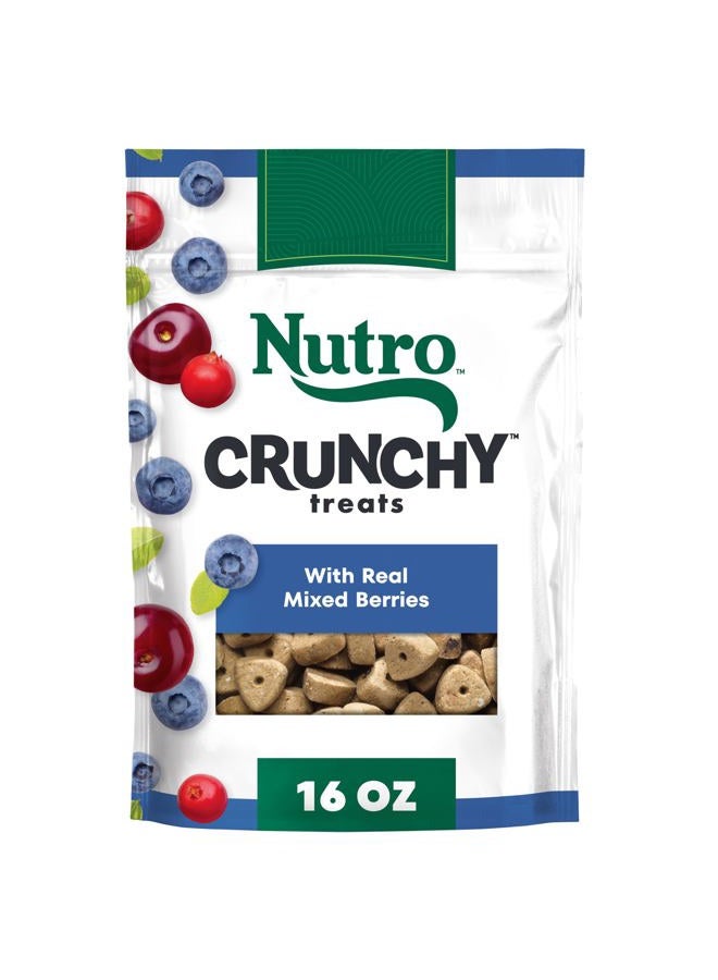 NUTRO Crunchy Dog Treats with Real Mixed Berries, 16 oz. Bag - Image 1