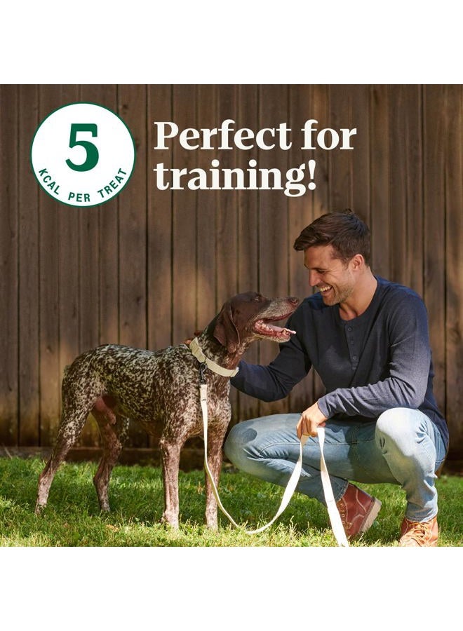 NUTRO Crunchy Dog Treats with Real Mixed Berries, 16 oz. Bag - Image 3