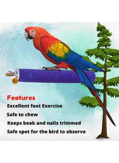Sage Square Perch Combo Of 6 & 10 Inches Natural Wood Rough Sand Perches | Exercise, Grinding Nail, Playstand, Training, Cage Accessories |Finches, Parrot, Budgies, Cockatiels (Pack Of 2)  - Image 3