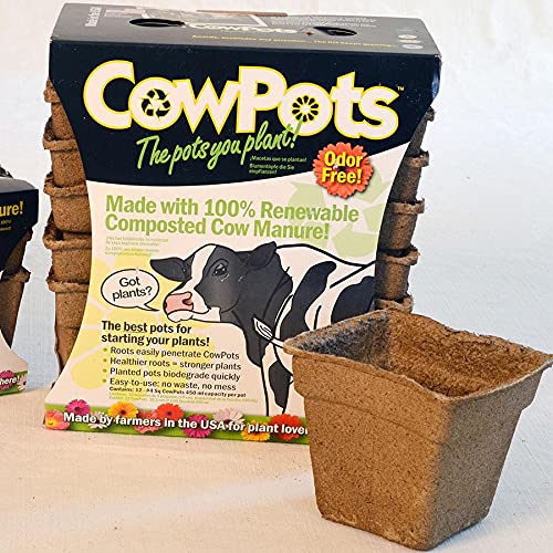Park Seed CowPots 4-inch Tall Square Nitrogen-Rich Plant Seedling Starter, Set of 12 - Image 1