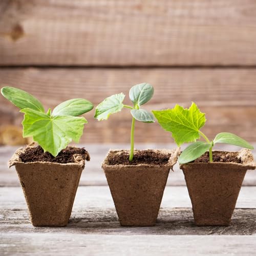 Park Seed CowPots 4-inch Tall Square Nitrogen-Rich Plant Seedling Starter, Set of 12 - Image 4