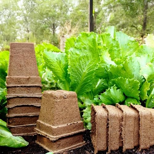 Park Seed CowPots 4-inch Tall Square Nitrogen-Rich Plant Seedling Starter, Set of 12 - Image 3