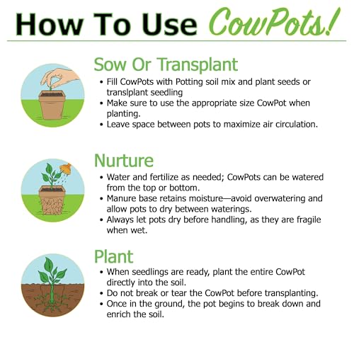 Park Seed CowPots 4-inch Tall Square Nitrogen-Rich Plant Seedling Starter, Set of 12 - Image 5