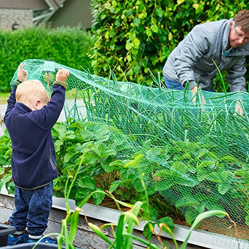 WNE Jaliwale Anti Bird Agro Net Bird Fencing Net Protect Fruit & Vegetable from Birds Garden Plant Netting/Fruit Tree Netting (Green) 50 x 10 FT, 500 Sq Ft. - Image 4