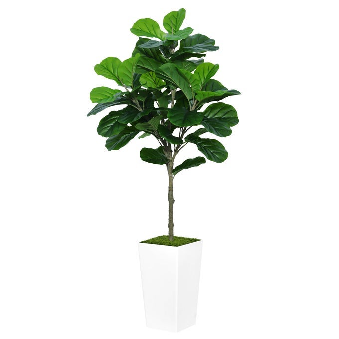 Fiddle Leaf Fig Tree Artificial 5FT Faux Fiddle Leaf Fig Tree with White Tall Planter Fake Ficus Lyrata Floor Plant Potted Artificial Fig Tree for Home Office Living Room Decor Indoor