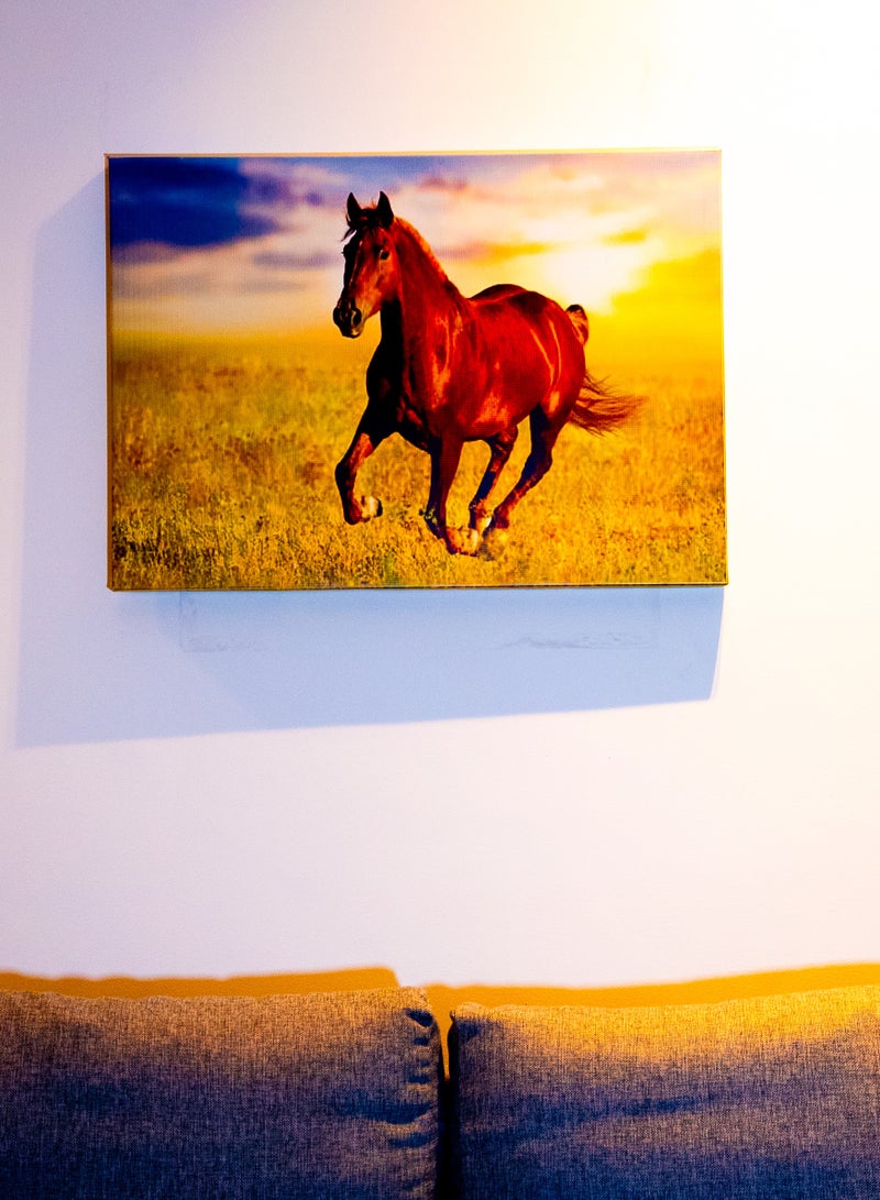 Majestic Gallop Canvas Wall Frame - Image 3