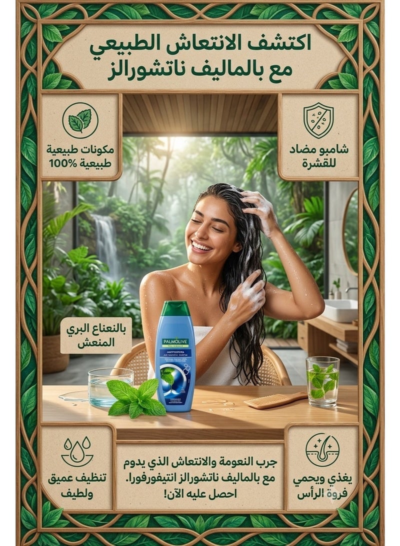 بالموليف شامبو للشعر مضاد للقشرة بالموليف ناتشورالز ذو اللمعان الحريري - Image 2