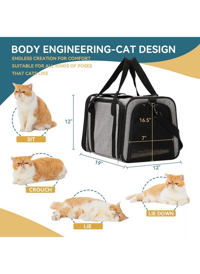 Petsfit Petsfit Expandable Pet Carrier for Cat Or Puppy Up to 18 Pounds, Square Extension Add More Space, Washable Soft Pet Carrier for Home Outdoor Travel, 19"X12" X12" Gray  - Image 2