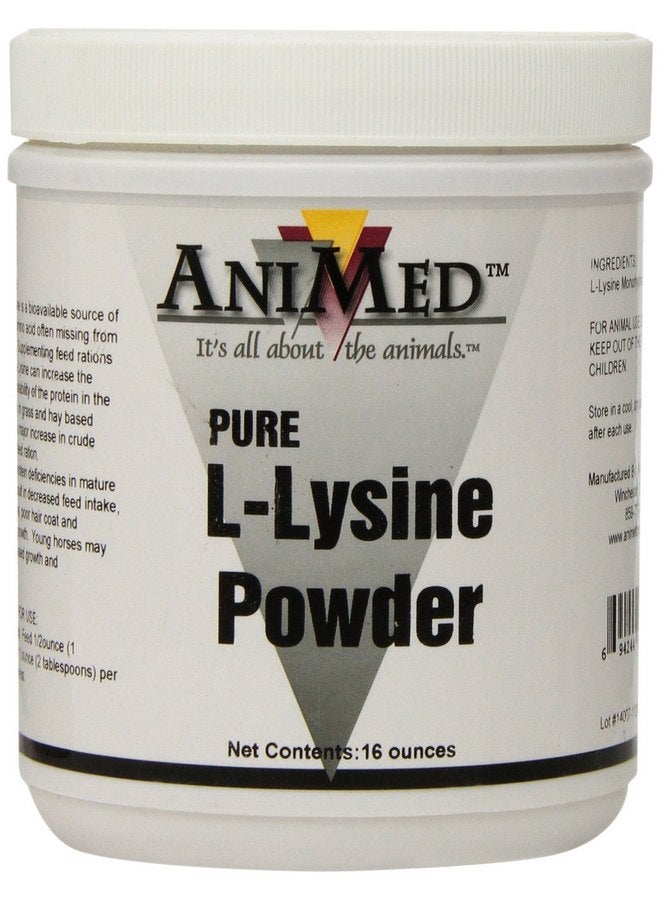 AniMed L-Lysine for Horses, 16-Ounce - Image 1