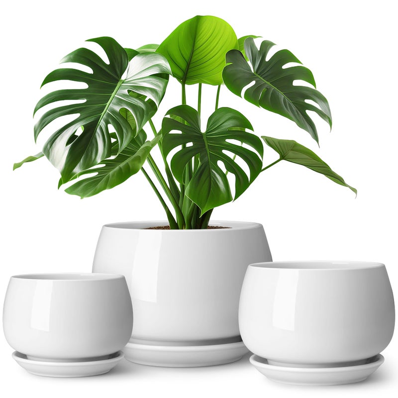 vancasso 3-Pack Ceramic Plant Pots, 3.7/4.8/6.2 Inch Indoor Planters with Saucers & Drainage Hole Planter pots for Indoor Plants and Flower, White - Image 1