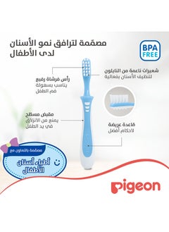 pigeon فرشاة أسنان تدريب الأطفال الدرس 3 – أزرق  - Image 5