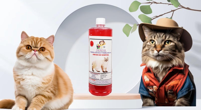Swacch Shampoo Specially Formulated for American Bobtail (1 Litre) Strawberry - Image 2