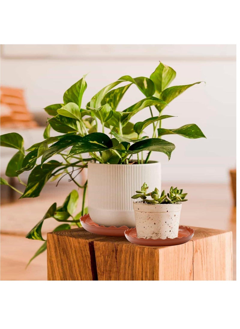 Generic - White Plant Trays, 12 Pack 3 Sizes Plastic Round Wave Plant Saucer Flower Plant Pot Saucer Terracotta Drip Trays for Indoor Outdoor Flower Pots and Planters, with 20pcs Green Plant Labels - Image 1