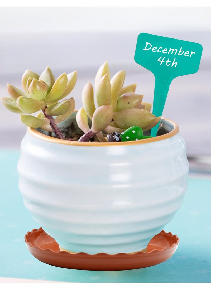 Generic - White Plant Trays, 12 Pack 3 Sizes Plastic Round Wave Plant Saucer Flower Plant Pot Saucer Terracotta Drip Trays for Indoor Outdoor Flower Pots and Planters, with 20pcs Green Plant Labels - Image 1
