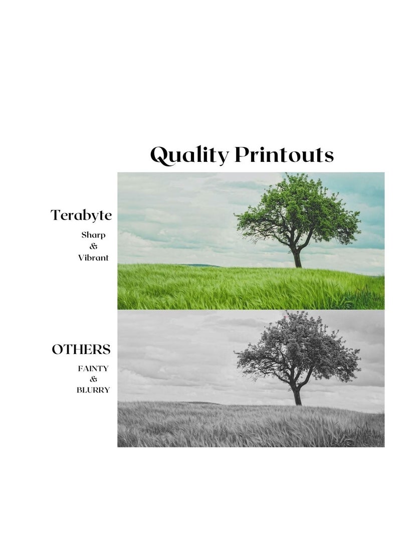 Terabyte MP2014 REPLACEMENT TONER TERABYTE - Image 2