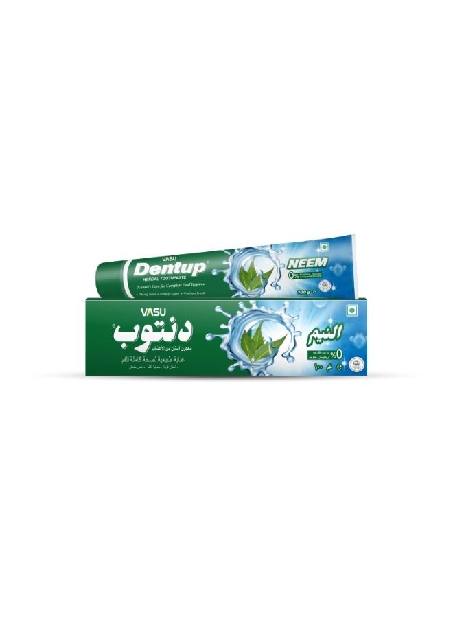 Dentup Herbal Toothpaste Neem 100 Gm
