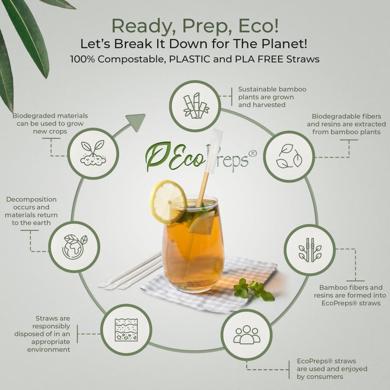 EcoPreps Biodegradable Sugarcane Straws  Compostable Individually Wrapped Straws | 300 Count  100% Plastic-Free  Eco-Friendly Drinking Straw | 7.8  Sugar Fiber Disposable Straw  Packed in Paper Wrap - Image 4