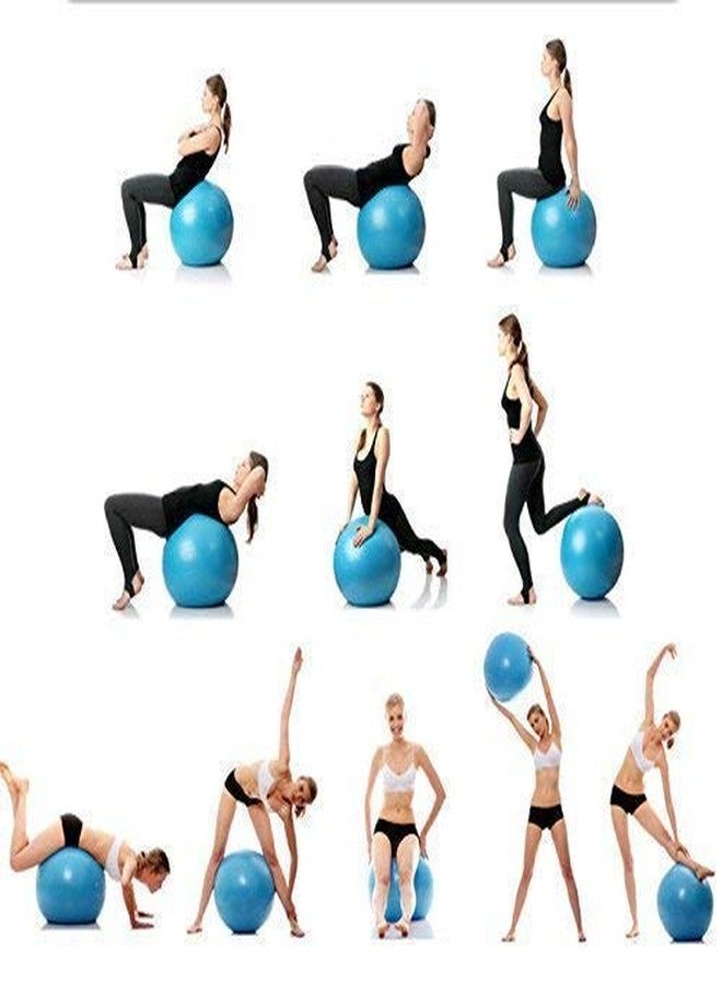 DHARNIX Gym Ball for Exercise with Foot Pump for Workout Yoga for Women and Men Swiss Ball for Balance Stability Training, Fitness 65cm (Multicolor) - Image 4
