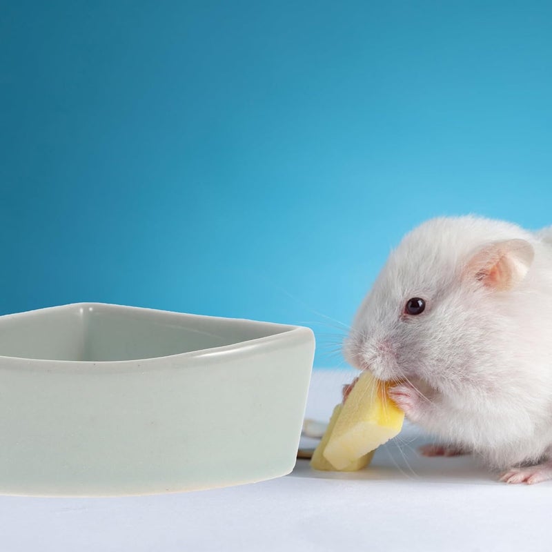 BESTonZON Ceramic Hamster Feeding Basin and Drinking Bowl, Stable -Spill Small Pet Water Dish for Hedgehogs, Sugar Gliders, Blue - Image 3
