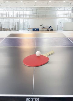 ETG Foldable Indoor Grid Table Tennis Table, Removable Table Tennis Table 274*152.5*76CM  - Image 2