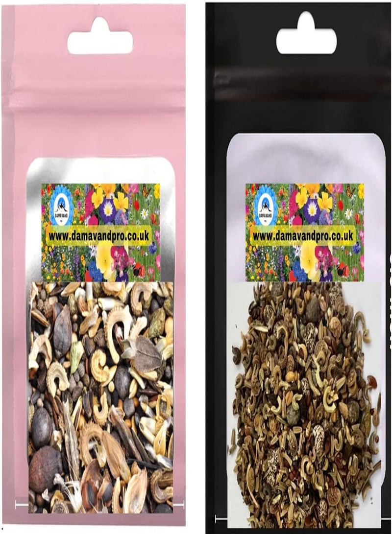 GGOOT Wildflower Seed Shaker Twin Pack Butterfly and Bee Attracting Naturalising Wild Flower Easy to Grow 2 Pack. Ideal to Help Save Our Pollinators Cover up to 50 m2, 2 Packets  - Image 1