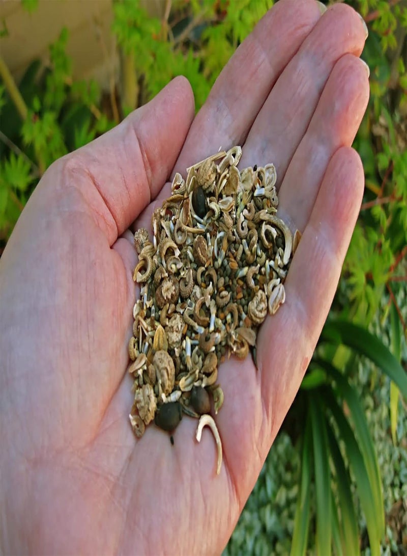 GGOOT Wildflower Seed Shaker Twin Pack Butterfly and Bee Attracting Naturalising Wild Flower Easy to Grow 2 Pack. Ideal to Help Save Our Pollinators Cover up to 50 m2, 2 Packets  - Image 2