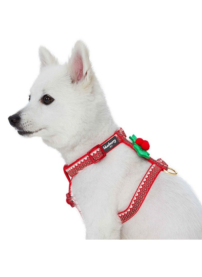 Blueberry Pet Christmas Zigzag Chevron No Pull Dog Harness with Holly Décor, Medium, Adjustable Harnesses for Dogs - pzsku/Z37689E54E28B699EC592Z/45/_/1737031724/3d47cf2e-9a99-48e1-8ef6-19d8c50426be