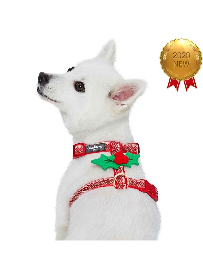 Blueberry Pet Christmas Zigzag Chevron No Pull Dog Harness with Holly Décor, Medium, Adjustable Harnesses for Dogs - pzsku/Z37689E54E28B699EC592Z/45/_/1737031733/8a39c814-3043-4f12-9c11-ec1e0eff4cf1