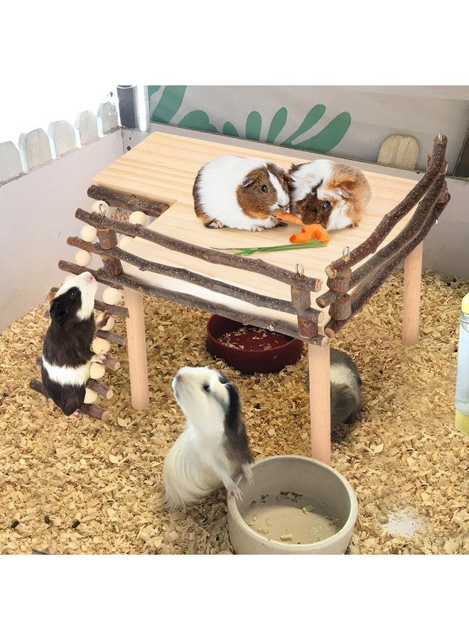 إستنك مجموعة تسلق الهامستر، نشاط لعب خشبي متعدد الأغراض للهامستر، ملعب تسلق صغير مع سلم تسلق للأكل واللعب والراحة - Image 3