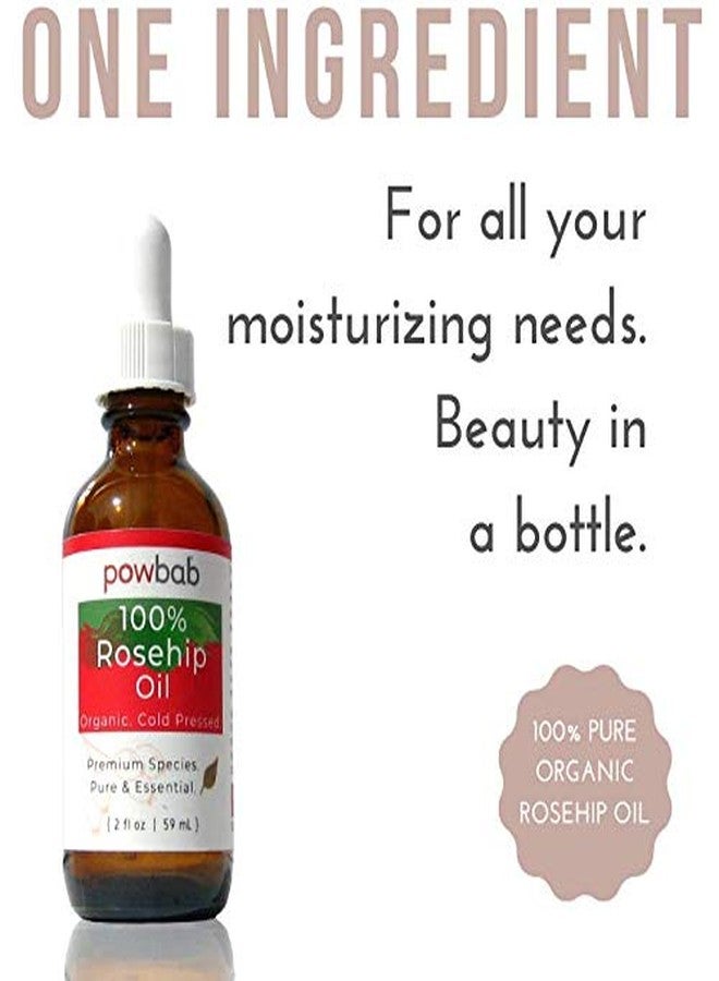 powbab 100% Rosehip Oil - Organic, Cold Pressed from Premium Rosa Rubiginosa Rosehip Seed. Face and Body Oil for Skin, Hair, Nail Repair. Raw Pure E Oil for Scars. Wild, Fair Trade - 2 oz. - Image 3