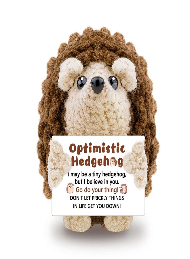 AICHPVOY Handmade Positive Crochet Hedgehog with Inspirational Message Cute Desk Accessories Emotional Support Crochet Unique Birthday Gifts for Women Men Friendship Gift for Women - Image 1
