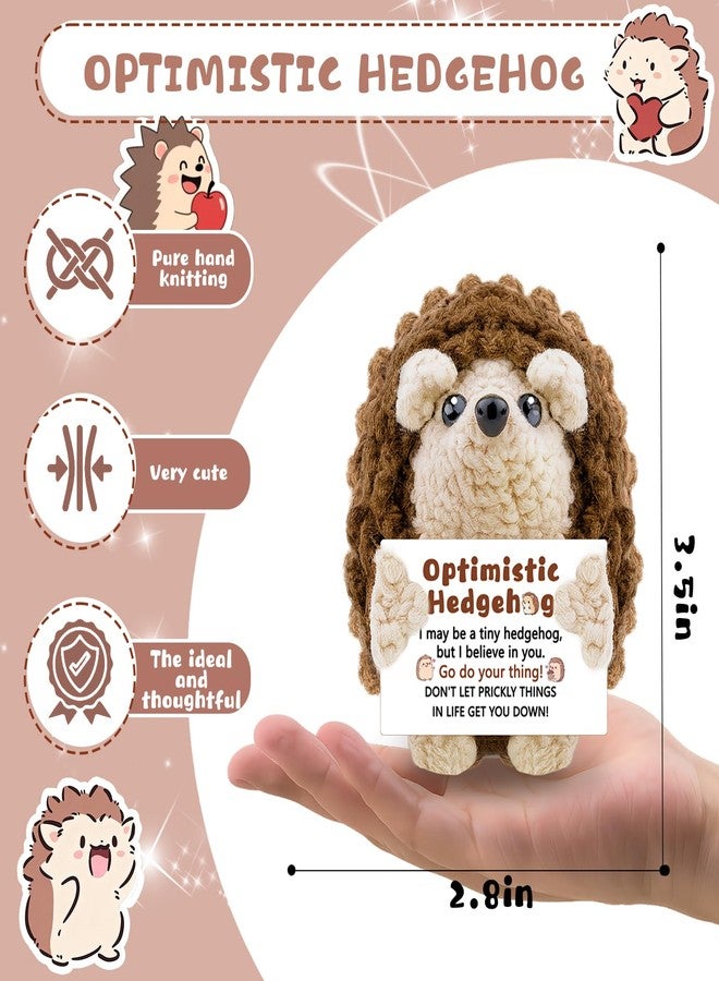 AICHPVOY Handmade Positive Crochet Hedgehog with Inspirational Message Cute Desk Accessories Emotional Support Crochet Unique Birthday Gifts for Women Men Friendship Gift for Women - Image 2