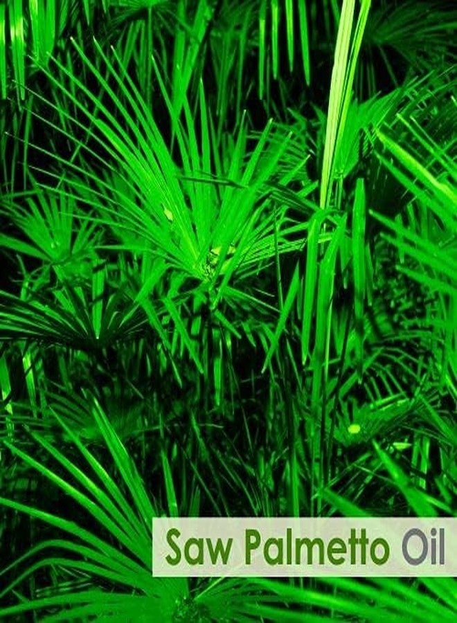 Salvia Saw Palmetto Oil Cosmetic Grade (30 ml / 1.01 fl oz) - Botanical Oil for Hair Scalp Massage & DIY Beauty Formulations - Image 2