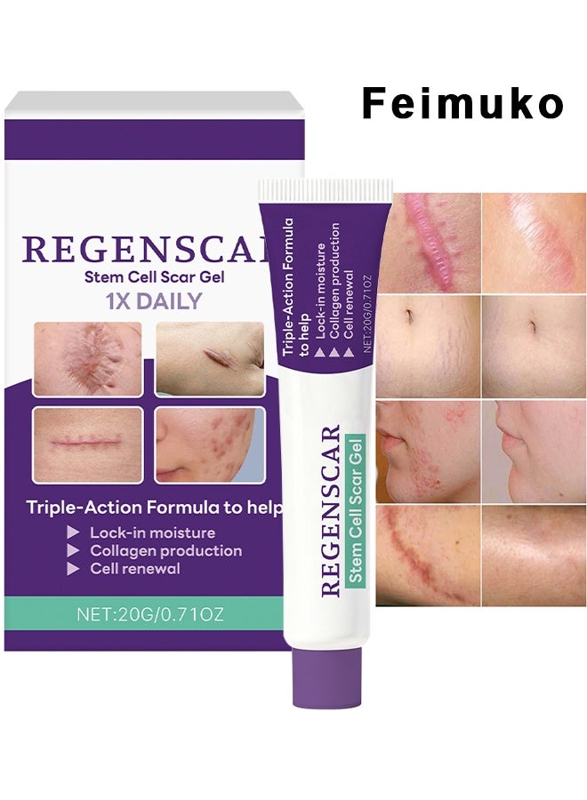 Feimuko Regenscar Stem Cell Scar Gel, Advanced Scar Gel, Scar Removal Gel, Treats Old And New Scars, Reduces The Appearance Of Scars From Acne, Stitches, Burns And More, 20g - Image 1