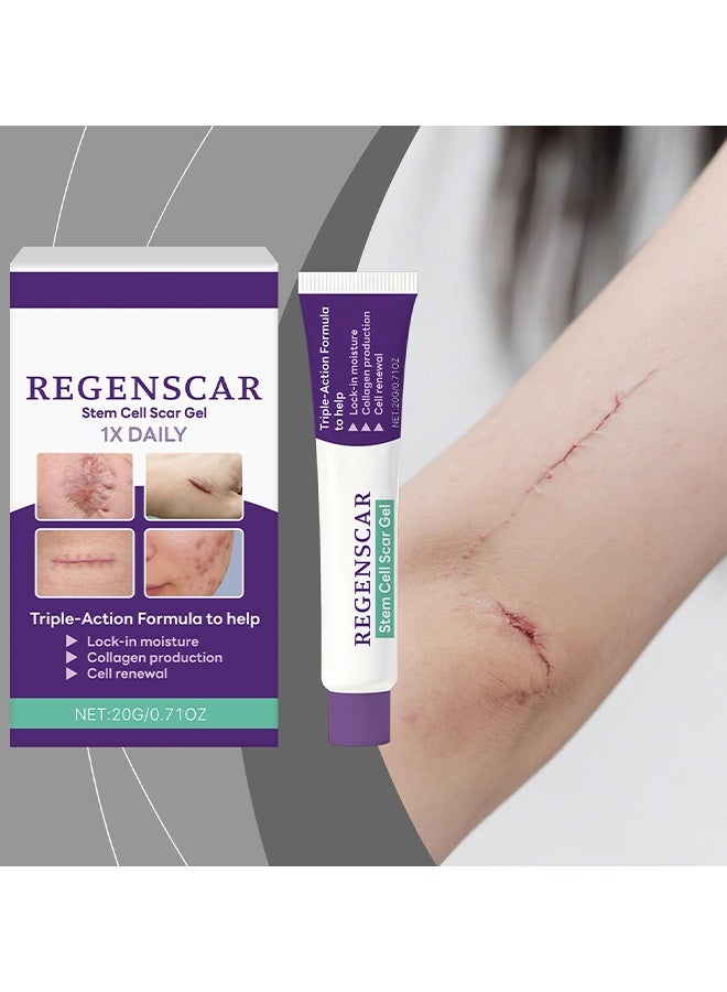Feimuko Regenscar Stem Cell Scar Gel, Advanced Scar Gel, Scar Removal Gel, Treats Old And New Scars, Reduces The Appearance Of Scars From Acne, Stitches, Burns And More, 20g - Image 2