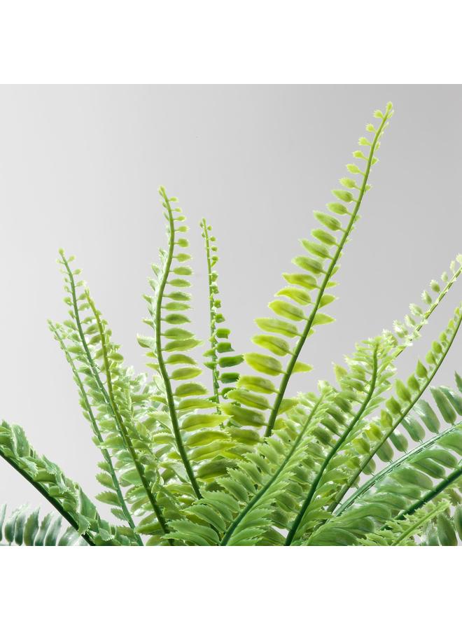 زبون نبات صناعي في وعاء، سرخس داخلي/خارجي، 9 سم - Image 5