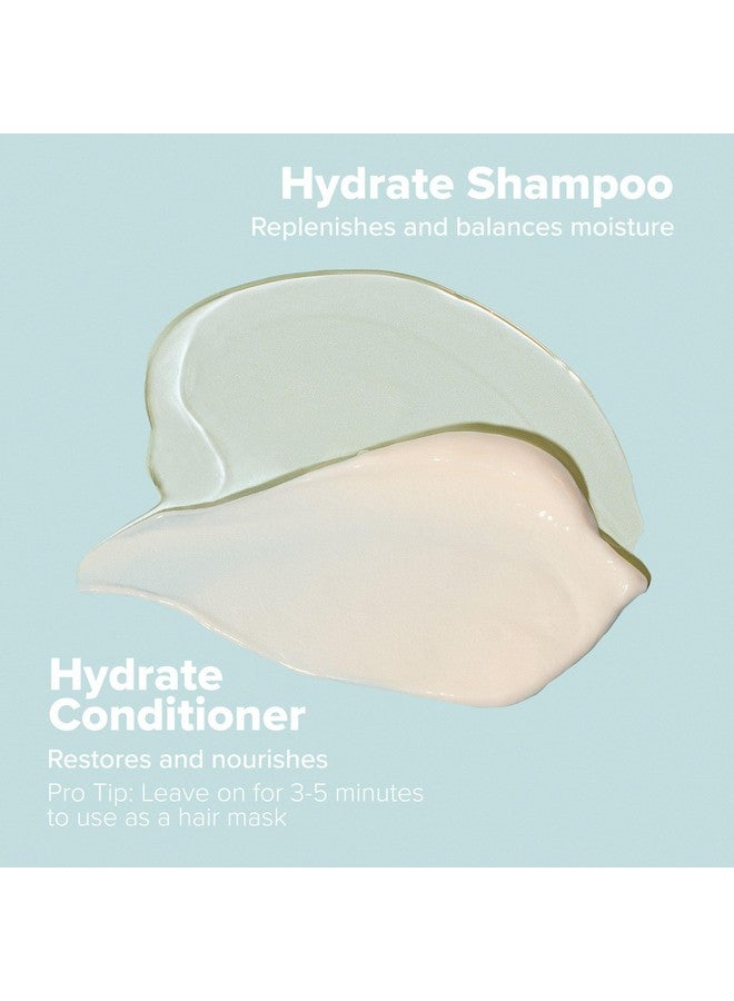 بول ميشيل شامبو بول ميتشل كلين بيوتي هايدريت، يغذي الشعر ويضيف الرطوبة للشعر الجاف، 8.5 أونصة سائلة. - Image 3