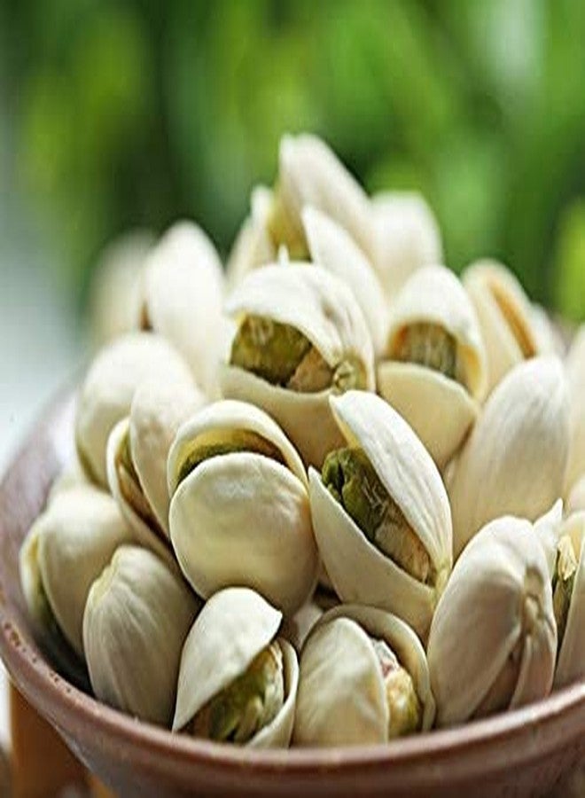 Awadh- Natural Pistachios, Pista, Saboot Pista, Row Pista,Dry Fruit Pista, Meva, Peesta,Whole Pista - Image 4