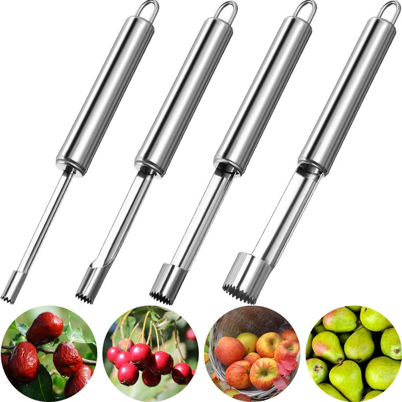 4 Pieces Multi Function Fruit Corer and Pitter Remover Set Stainless Steel Pear Corer Pitter 4 Sizes for Home Kitchen Pear Cherry Jujube and Red Date