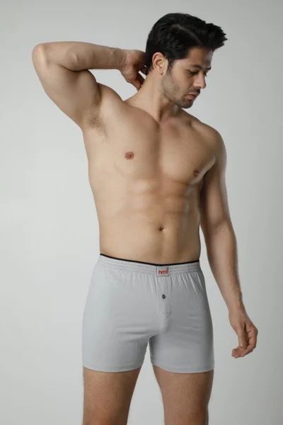 HMD 305 Cotton Button Detail Lycra Men's Boxer Briefs - Gray