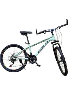 Gold Gold Bike 20 – Durable 20-Inch 