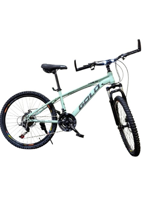 Gold Bike 20 – Durable 20-Inch