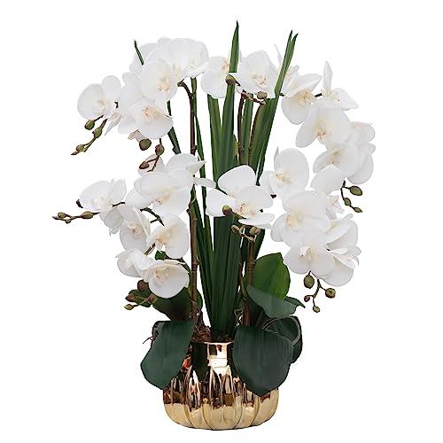 CXGS Artificial Orchid Flower Real Touch Faux Orchids in Ceramic Vase Large 22.9'' Fake Flowers White Phalaenopsis Floral for Home Indoor Decor - Image 1