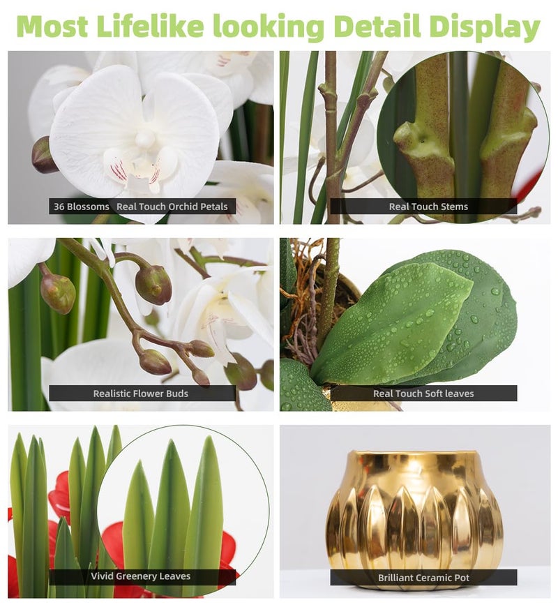 CXGS Artificial Orchid Flower Real Touch Faux Orchids in Ceramic Vase Large 22.9'' Fake Flowers White Phalaenopsis Floral for Home Indoor Decor - Image 3