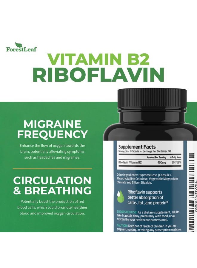 ForestLeaf فيتامين ب2 ريبوفلافين 400 ملغ - مكمل الطاقة وصحة الجلد والخلايا - دعم الجهاز العصبي - فيتامين ب 2 فيت ب - غير معدّل وراثيًا وخالي من الغلوتين - كبسولات نباتية ب2 فيتامين 400 ملغ، 90 حبة - Image 3